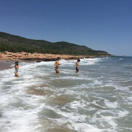 Bertur Picasso Peñíscola